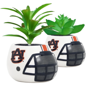 Mini Ceramic Auburn football helmet planters