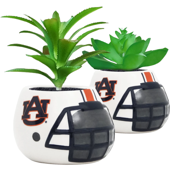 Mini Ceramic Auburn football helmet planters